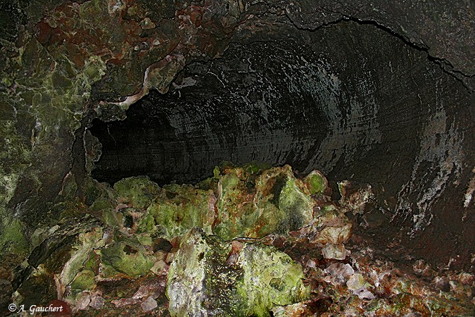 The green tunnel